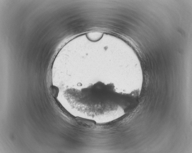 X0000114421371200911271547