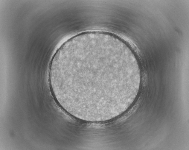 X0000114421374200911271547