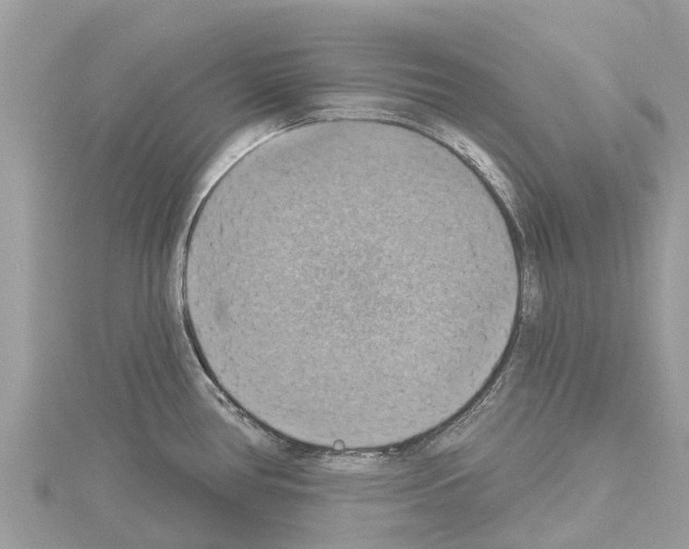 X0000114421386200911271547