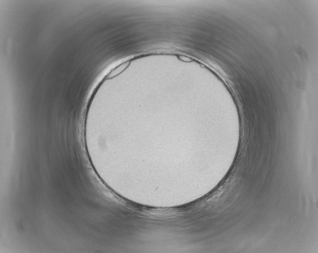 X0000114421392200911271547