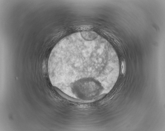 X0000114421395200911271546