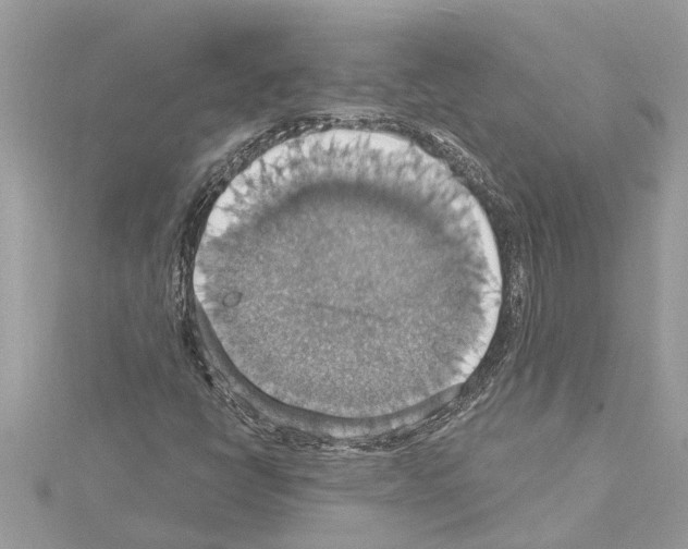 X0000114421398200911271547