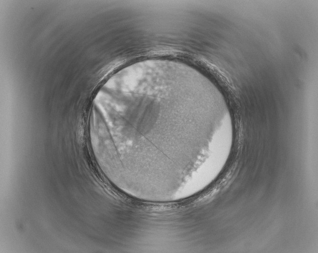 X0000114421401200911271547