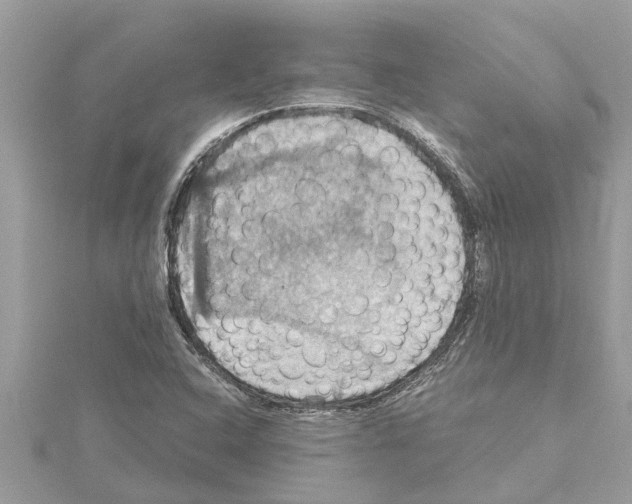 X0000114421408200911271547