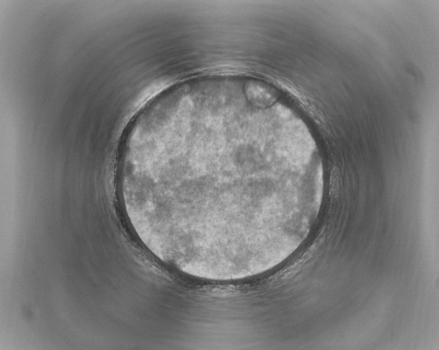 X0000114421410200911271547