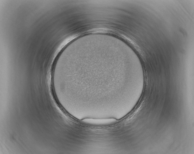 X0000114421418200911271547