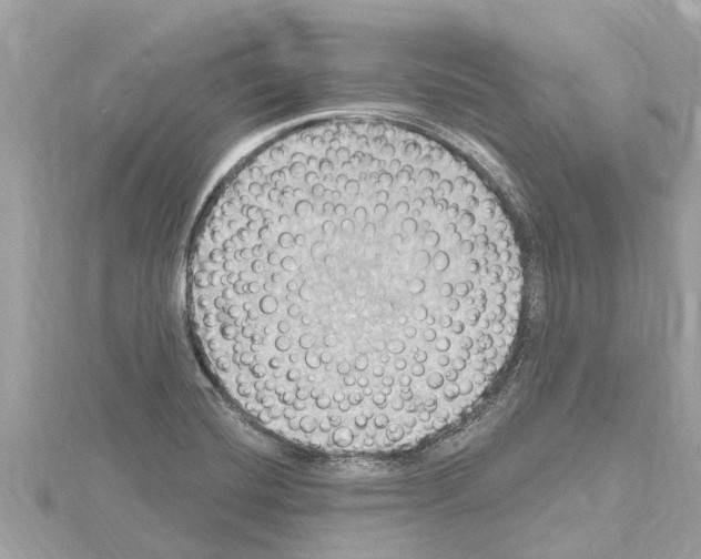 X0000114421420200911271547