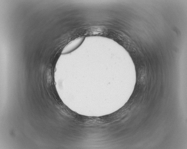X0000114421442200911271546