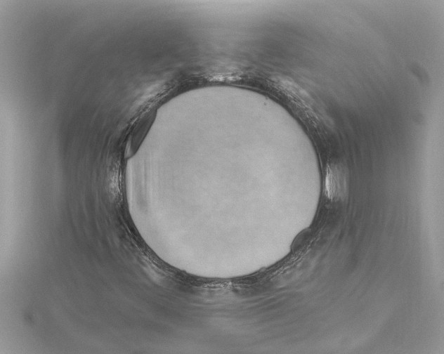 X0000114421444200911271546
