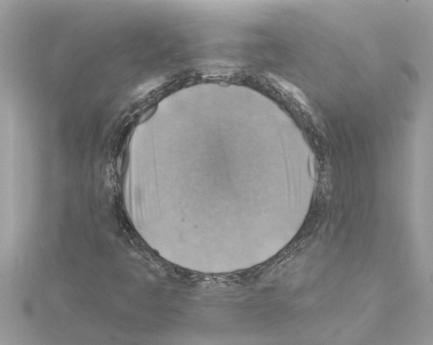 X0000114421445200911271546