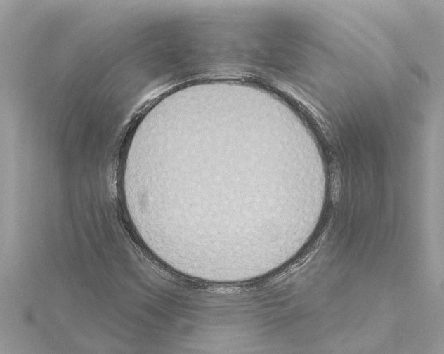 X0000114421451200911271546