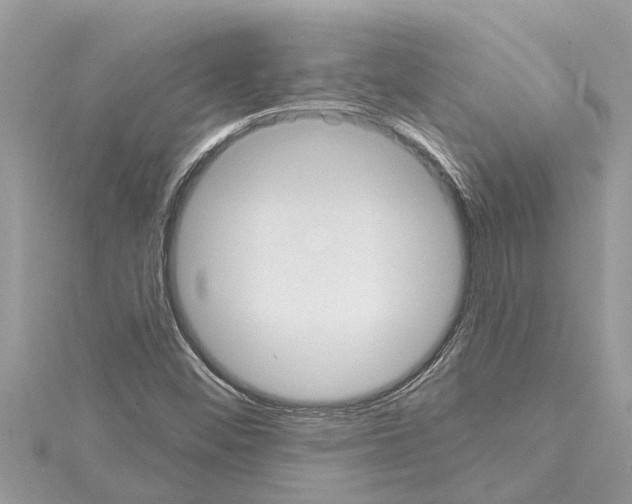 X0000114421452200911271546