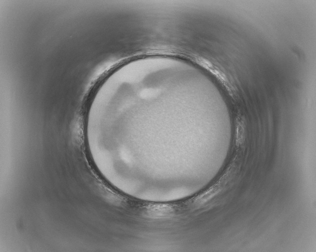 X0000114421454200911271546