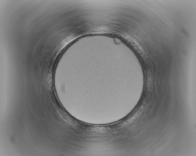 X0000114421457200911271546