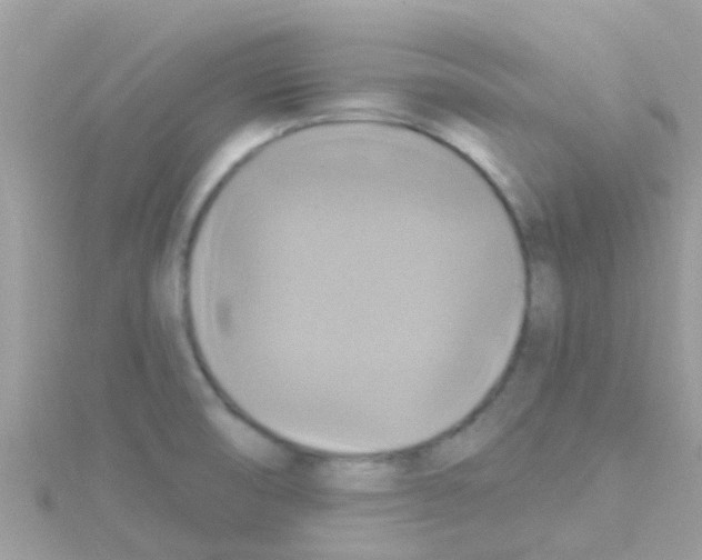 X0000114421474200911271546