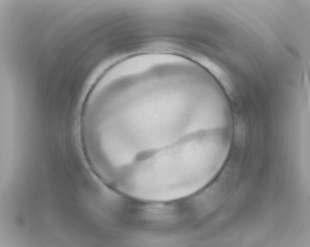 X0000114421478200911271546