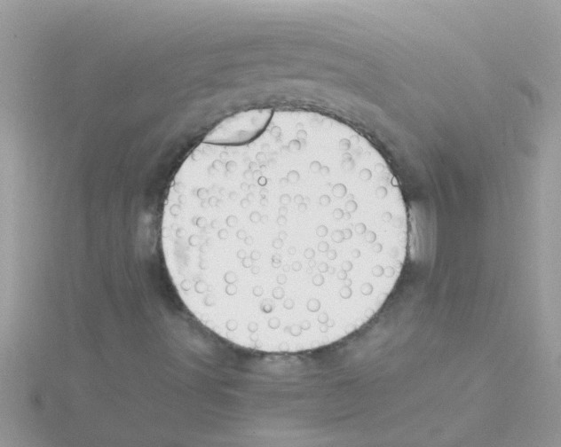 X0000114421491200911271545