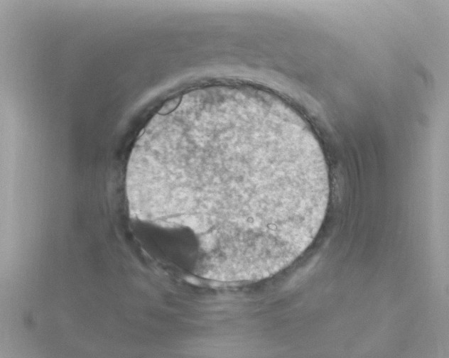 X0000114421494200911271545