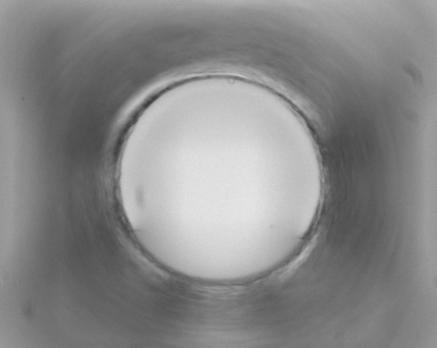 X0000114421502200911271545