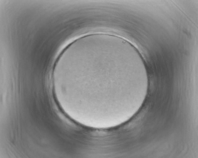 X0000114421515200911271546