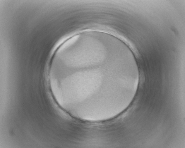 X0000114421522200911271546