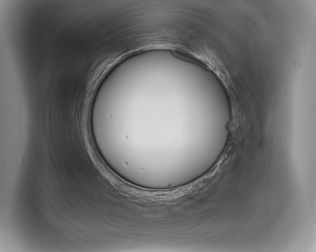 X0000114430001200910161041