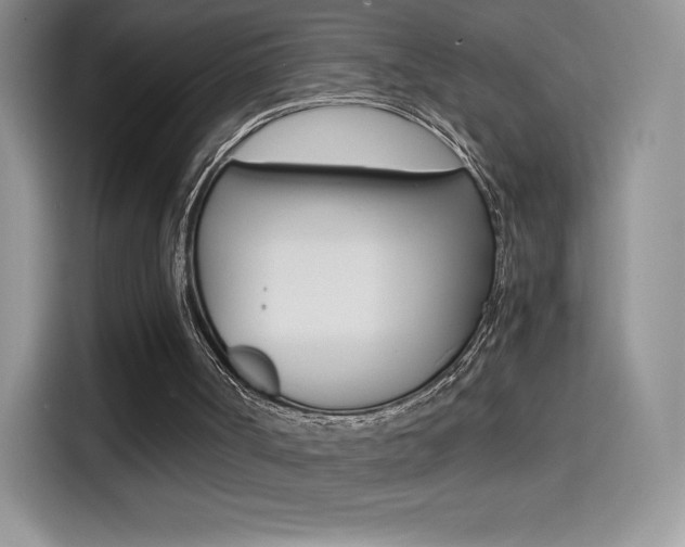 X0000114430002200910161041