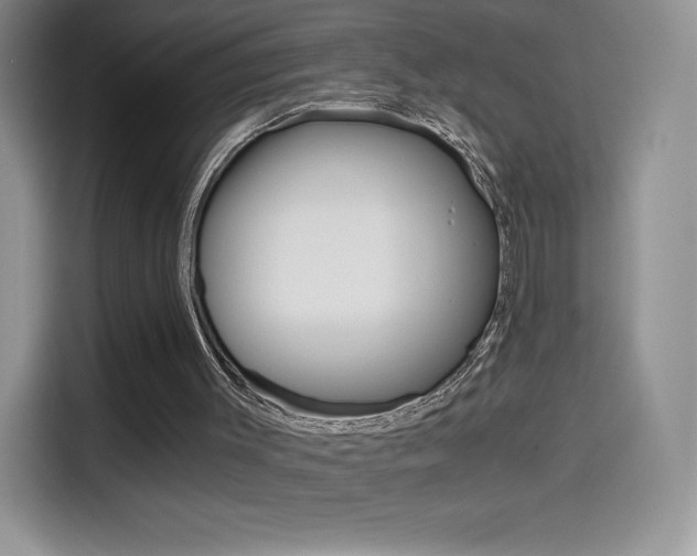 X0000114430003200910161041