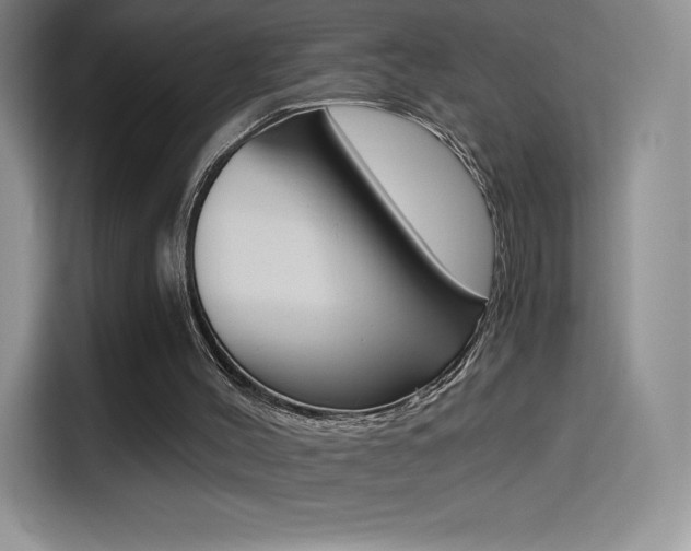 X0000114430004200910161041