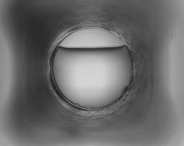 X0000114430005200910161041