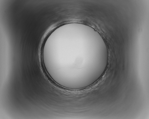 X0000114430006200910161041