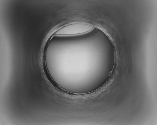 X0000114430007200910161041