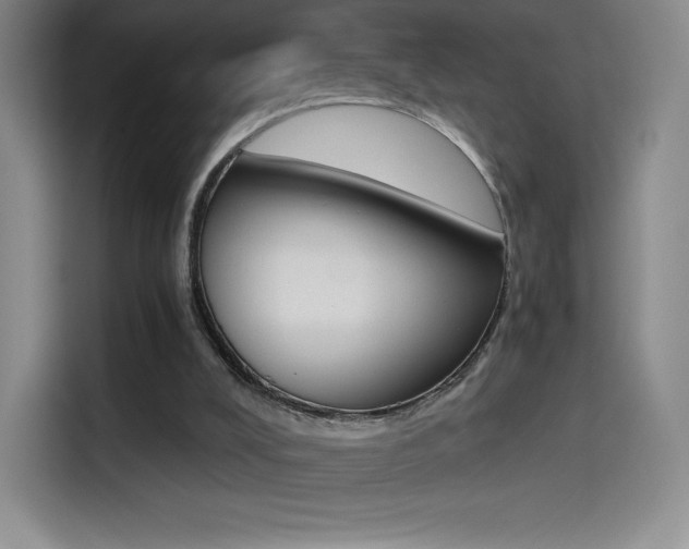 X0000114430008200910161041