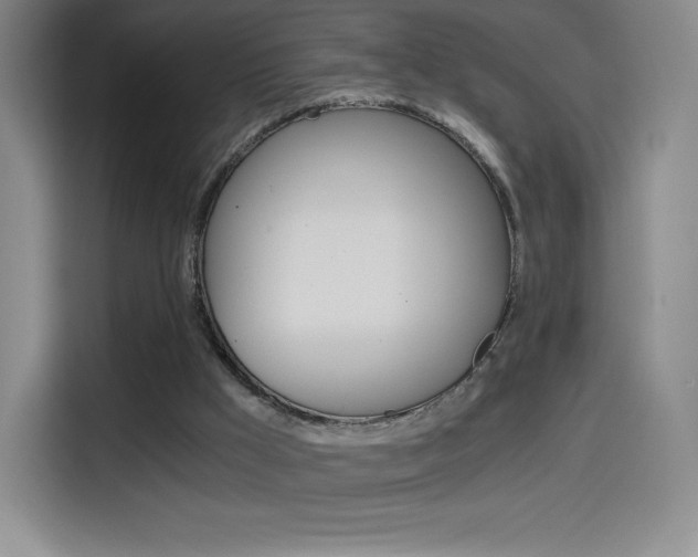 X0000114430009200910161041