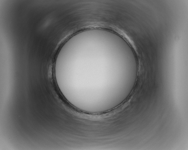 X0000114430010200910161041