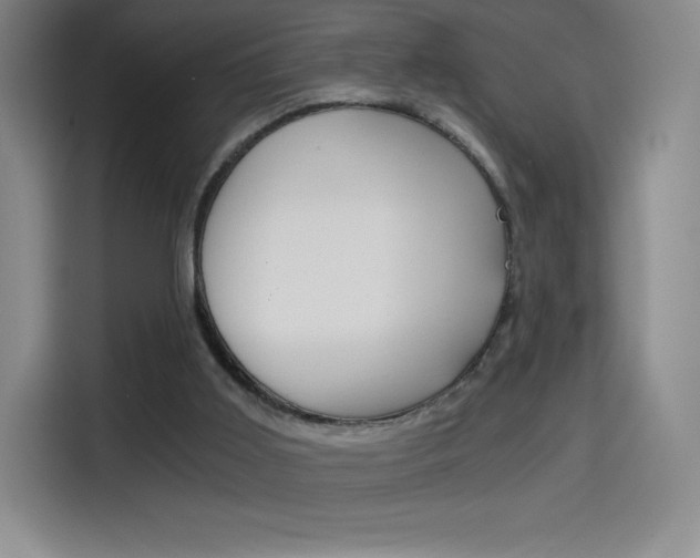 X0000114430011200910161041