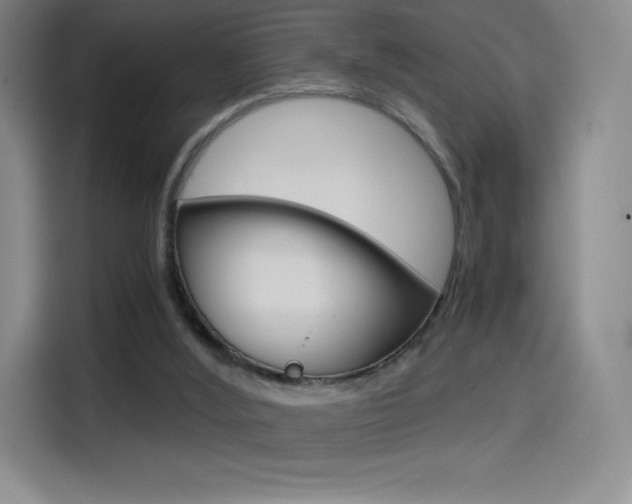 X0000114430012200910161041