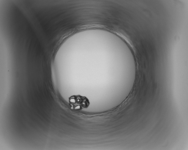 X0000114430013200910161041