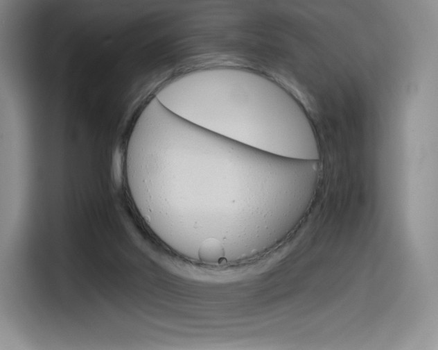 X0000114430014200910161041