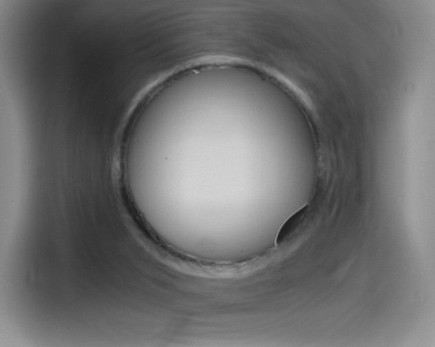 X0000114430015200910161041