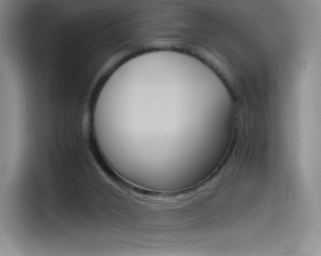 X0000114430016200910161041