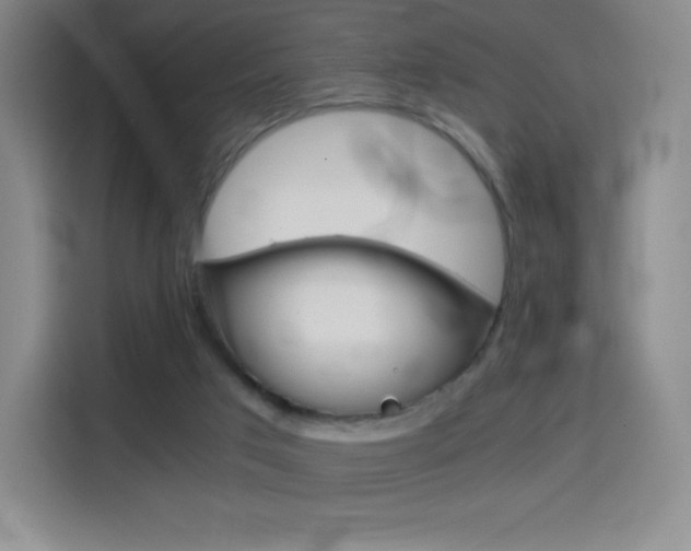 X0000114430017200910161041