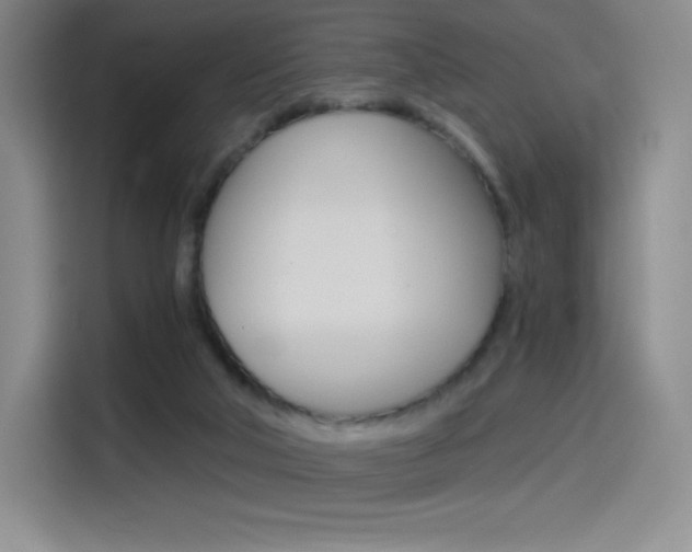 X0000114430018200910161041