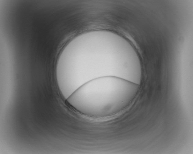 X0000114430019200910161041