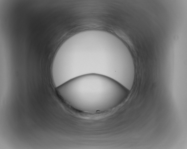 X0000114430021200910161041