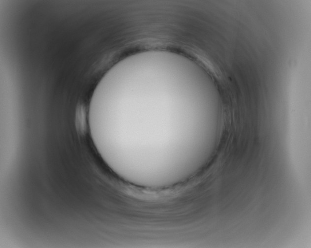 X0000114430022200910161041