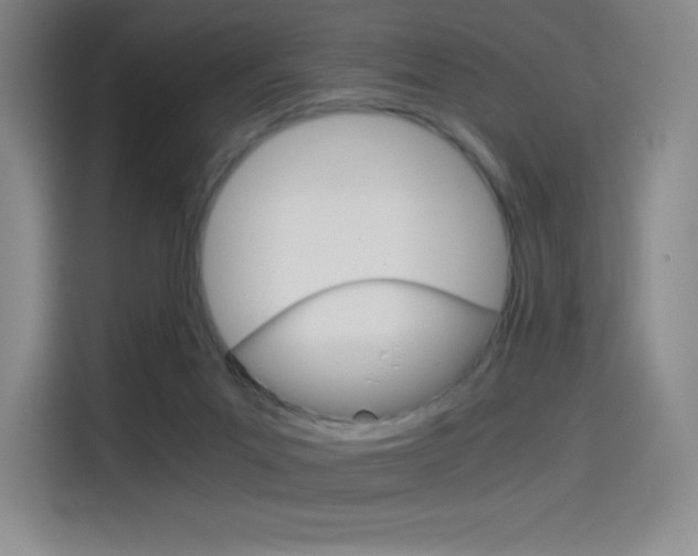 X0000114430023200910161041