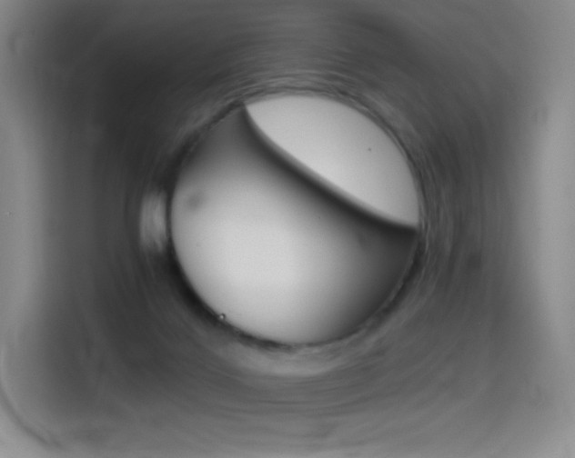 X0000114430028200910161041