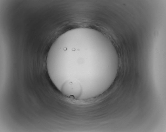 X0000114430030200910161041