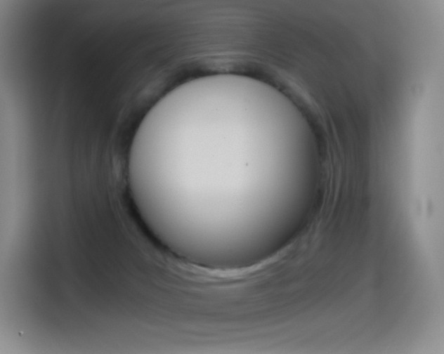 X0000114430031200910161041